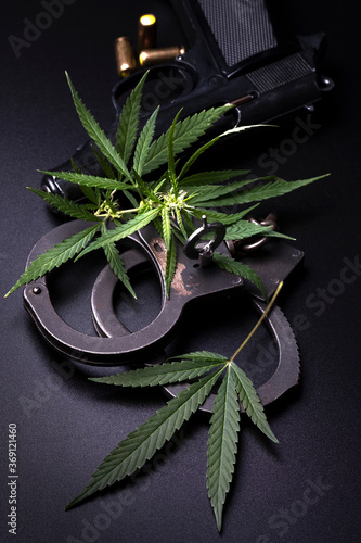 Hemp leaves and pistol with handcuffs.