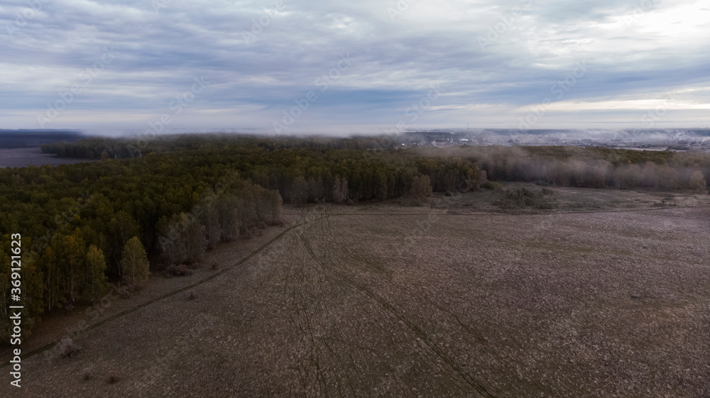 Empty filed near autumn forest during overcast weather Empty filed near autumn forest during overcast weather