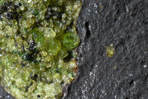 Closeup of Large Peridot (1-2 cm olivine crystals) in Lherzolite xenolith enclosed by basalt, Peridot Mesa, San Carlos Apache Reservation, Arizona
