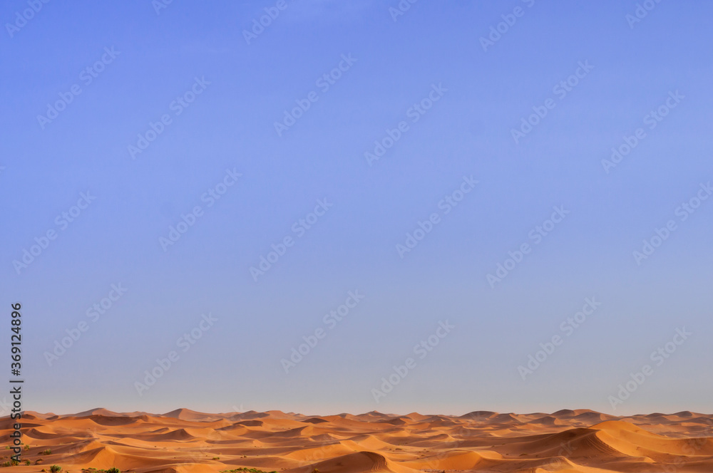 Naklejka premium Sand dunes in the Sahara / Sand dunes to the horizon in the Sahara, Morocco, Africa.