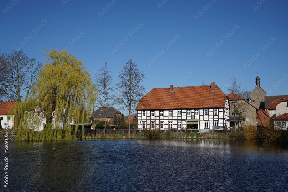 Spiegelung im Wasser an einem Teich mit Häusern
