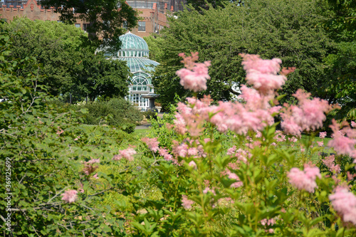 Brooklyn, NY, USA - June 27, 2019: Brooklyn Botanical Garden