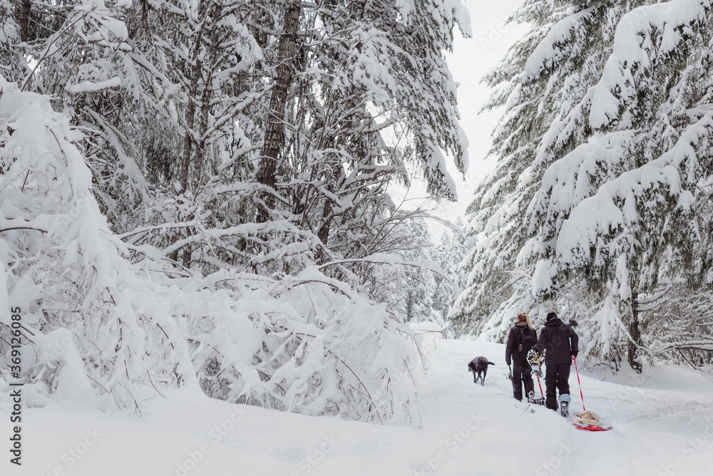 Walking through fresh fallen Snow Walking through fresh fallen Snow