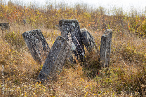 Tombstones on a background of dry grass in a cemetery. photo