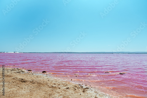 idyllic and amazing view of a shoreline of a salty pink sea lake saline photo