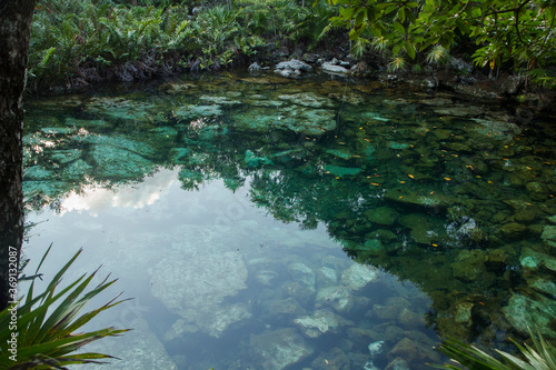 Magical environment. Emerald color water cenote with a rocky bed  in the jungle.