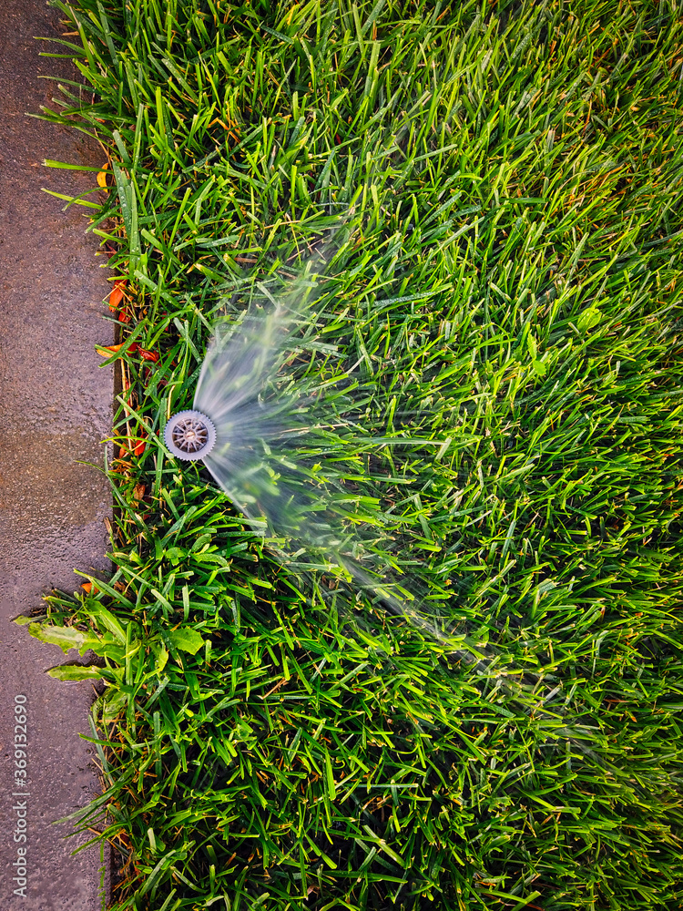 automatic watering system on the backyard lawn Stock Photo Adobe Stock