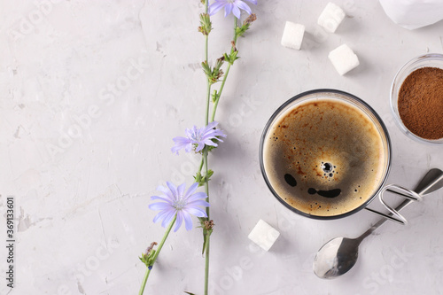 Chicory beverage in glass cup, with concentrate and flowers on grey background. Healthy herbal beverage, coffee substitute, Close up. Copy space.