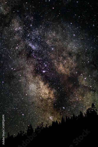 No Crying over Spilt Milk - The Milky Way core steals the show in a recent Northern California night sky. Phillipsville, California, USA.