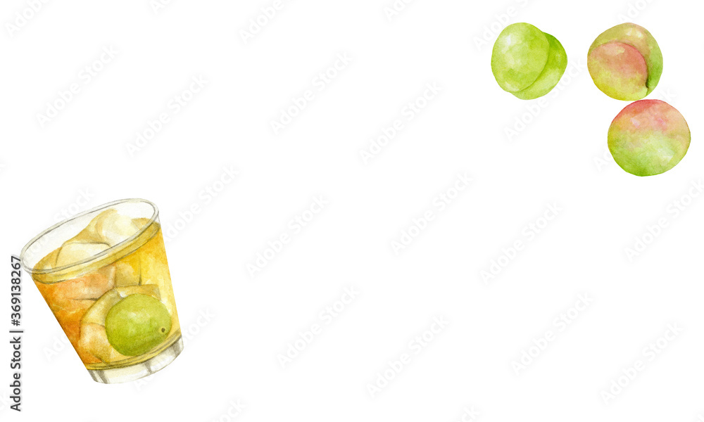 梅酒と梅 コピースペース 水彩イラスト Ilustracion De Stock Adobe Stock