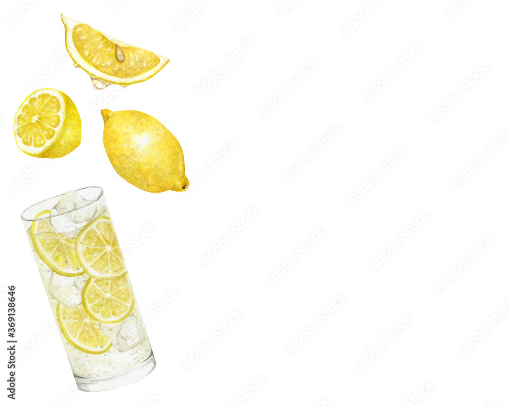 レモンとレモンサワー コピースペース 水彩イラスト Stock Illustration Adobe Stock