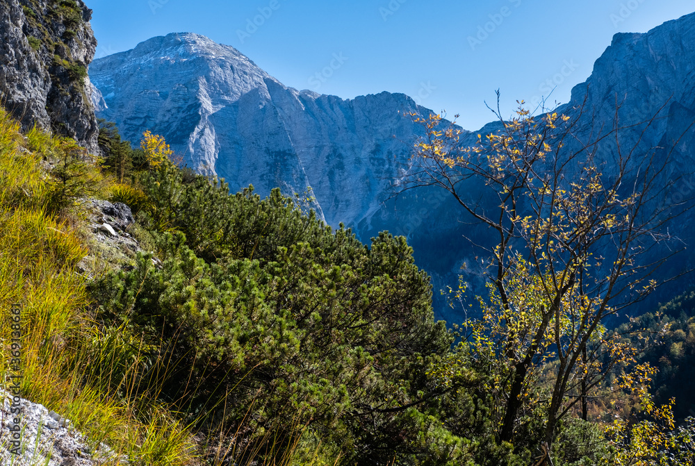 Sunny colorful autumn alpine scene. Peaceful rocky mountain view from hiking path near Almsee lake, Upper Austria.
