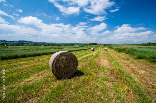 żniwa, bale, zielonki, kraków, małopolska
 photo