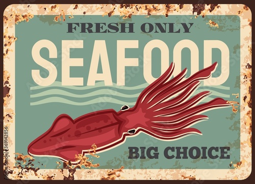 Squid animal rusty plate. Seafood vector vintage rust tin sign, fishing, and fish gourmet restaurant, ocean and sea fishery industry. Squid underwater animal, chef delicatessen food big choice