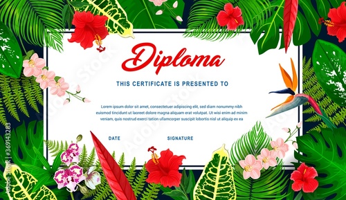 Kids diploma with tropical plants and flowers. Vector education certificate in frame of exotic hibiscus, frangipani and orchid blossoms, fern, palm and jungle plant leaves. Children diploma template