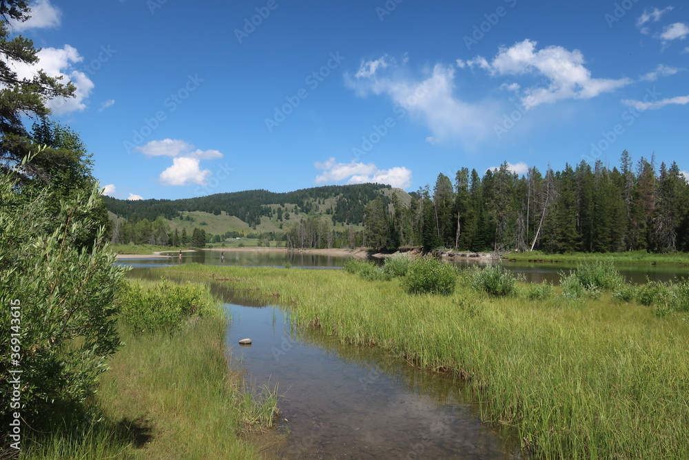 Stagnant river next to forest in Wyoming