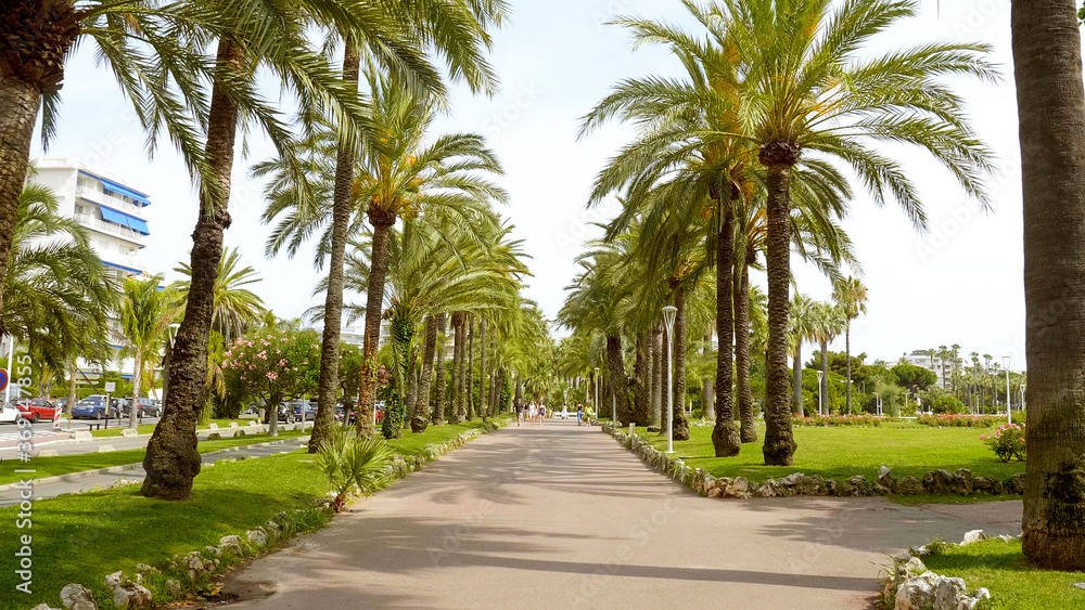 Beautiful park with palm trees in the city of Cannes