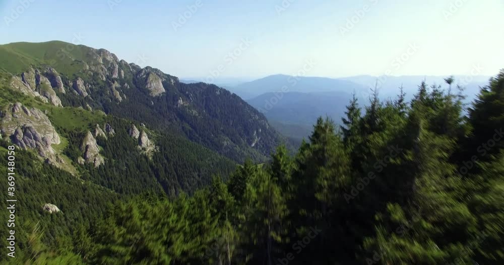 Drone reveal over fir-trees crest. Mountains and village in the distance Drone reveal over fir-trees crest. Mountains and village in the distance