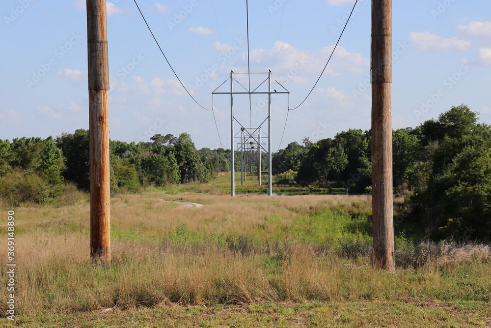 Fototapeta premium Power Lines in Florida