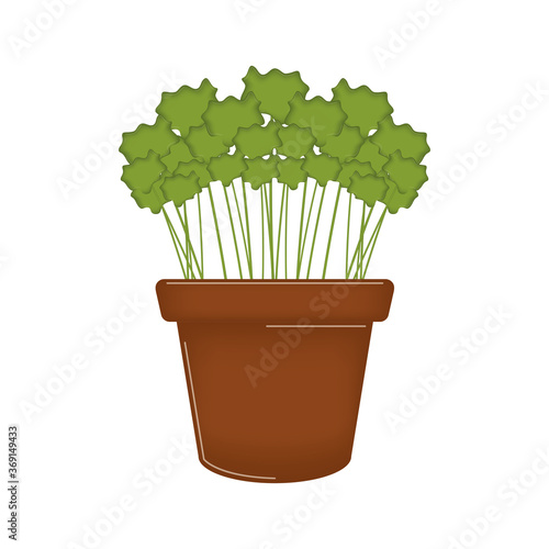 Vegetable or spice plant in a pot. Urban farming gardening - Vector