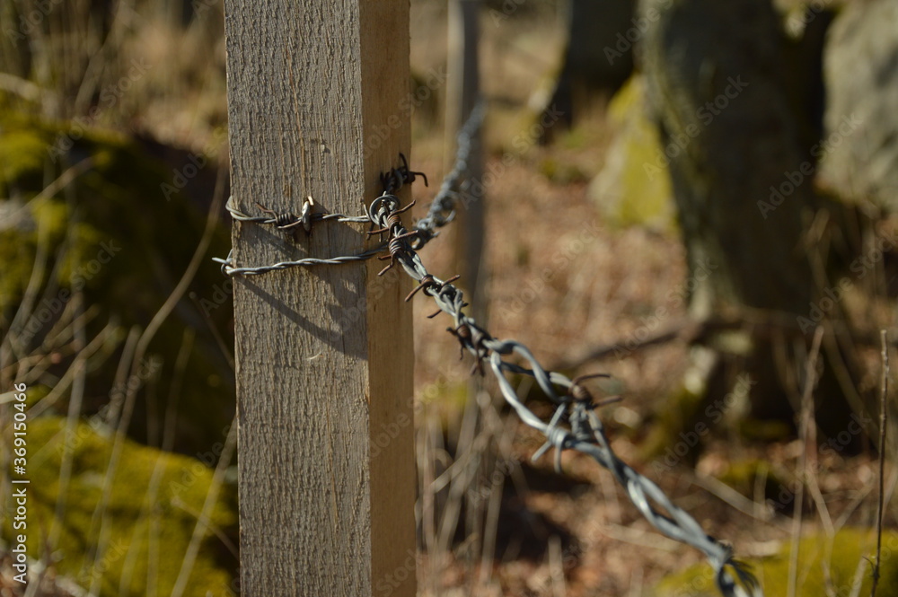 Wired pole Wired pole