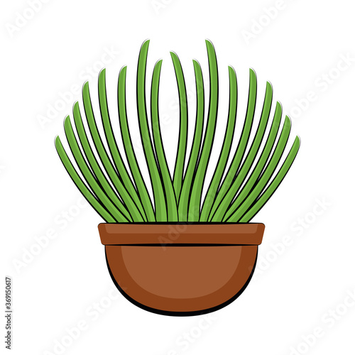 Vegetable or spice plant in a pot. Urban farming gardening - Vector