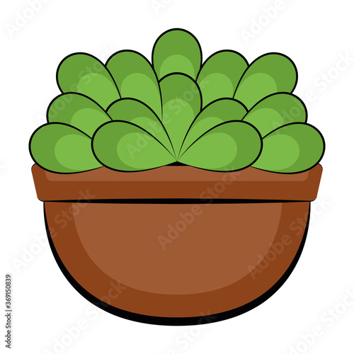 Vegetable or spice plant in a pot. Urban farming gardening - Vector