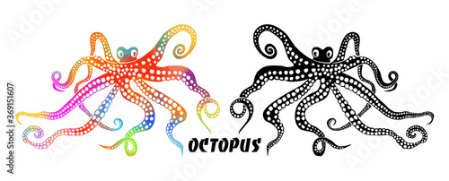 Octopus monochrome and multicolored. Octopus graphic. Vector illustration