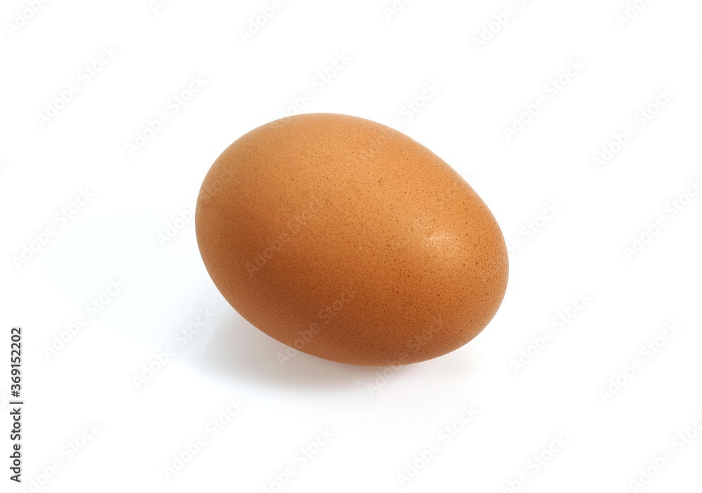 CHICKEN EGG AGAINST WHITE BACKGROUND CHICKEN EGG AGAINST WHITE BACKGROUND