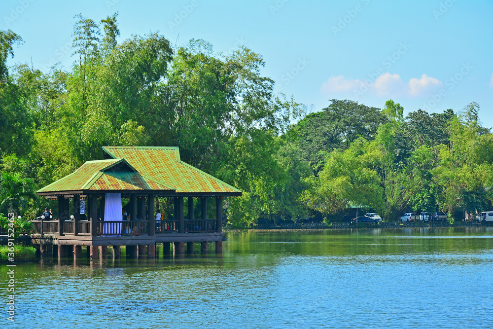 Lake and trees at Ninoy Aquino parks and wildlife center in Quezon City, Philippines Lake and trees at Ninoy Aquino parks and wildlife center in Quezon City, Philippines