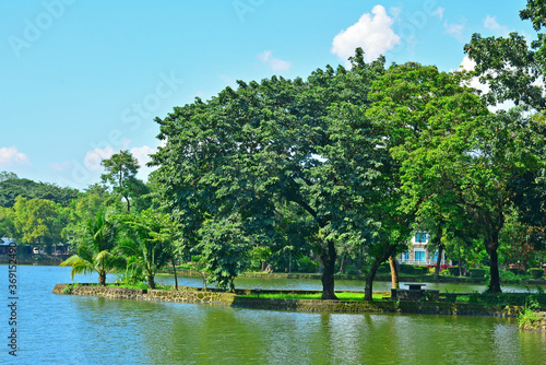 Lake and trees at Ninoy Aquino parks and wildlife center in Quezon City, Philippines