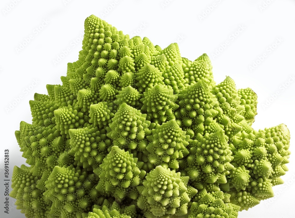 ROMANESCO CABBAGE AGAINST WHITE BACKGROUND ROMANESCO CABBAGE AGAINST WHITE BACKGROUND