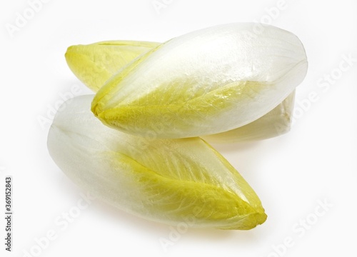 CHICORY AGAINST WHITE BACKGROUND