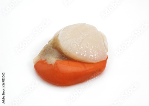 FRESH SCALLOP pecten maximus AGAINST WHITE BACKGROUND