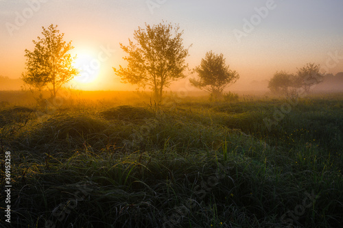 Wallpaper Mural sunrise in the field Torontodigital.ca