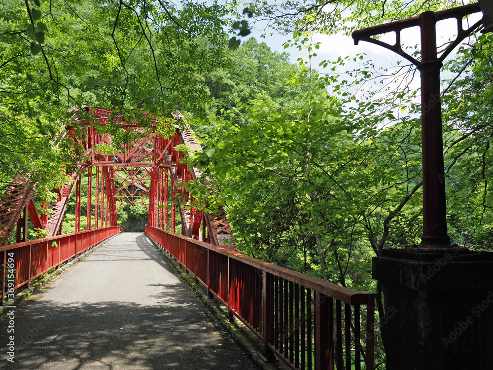 Obraz premium 葉っぱの中の赤い橋。 壱