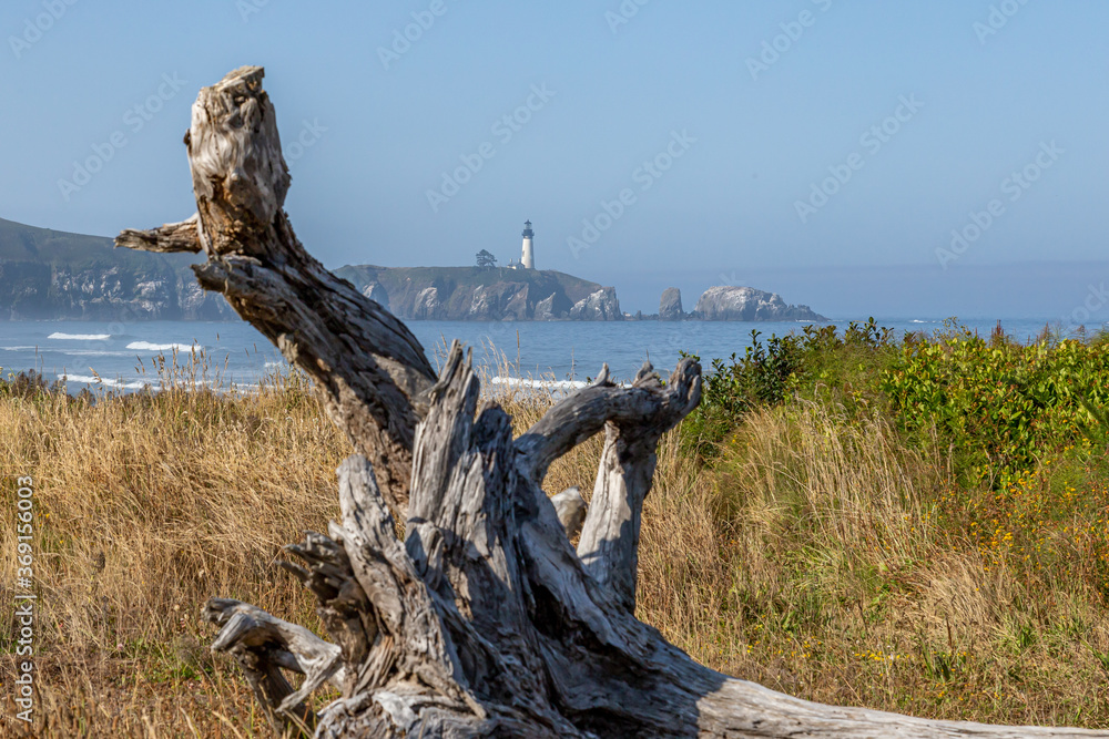 Yaquina Head Lighthouse with twisted driftwood