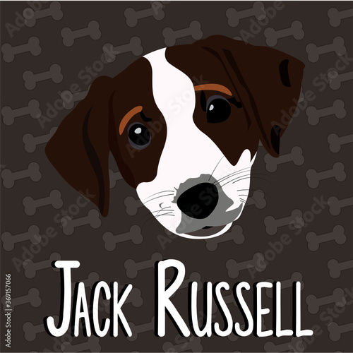 Jack Russell