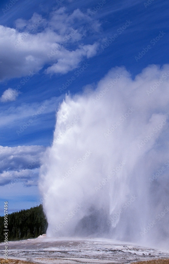 GEYSER IN YELLOWSTONE NATIONAL PARK, WYOMING