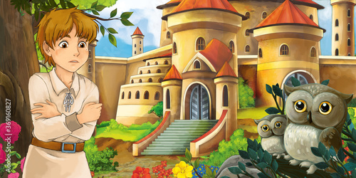 Cartoon scene with owls with beautiful castle near forest with young boy illustration