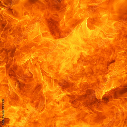 blaze fire flame conflagration texture background in square ratio