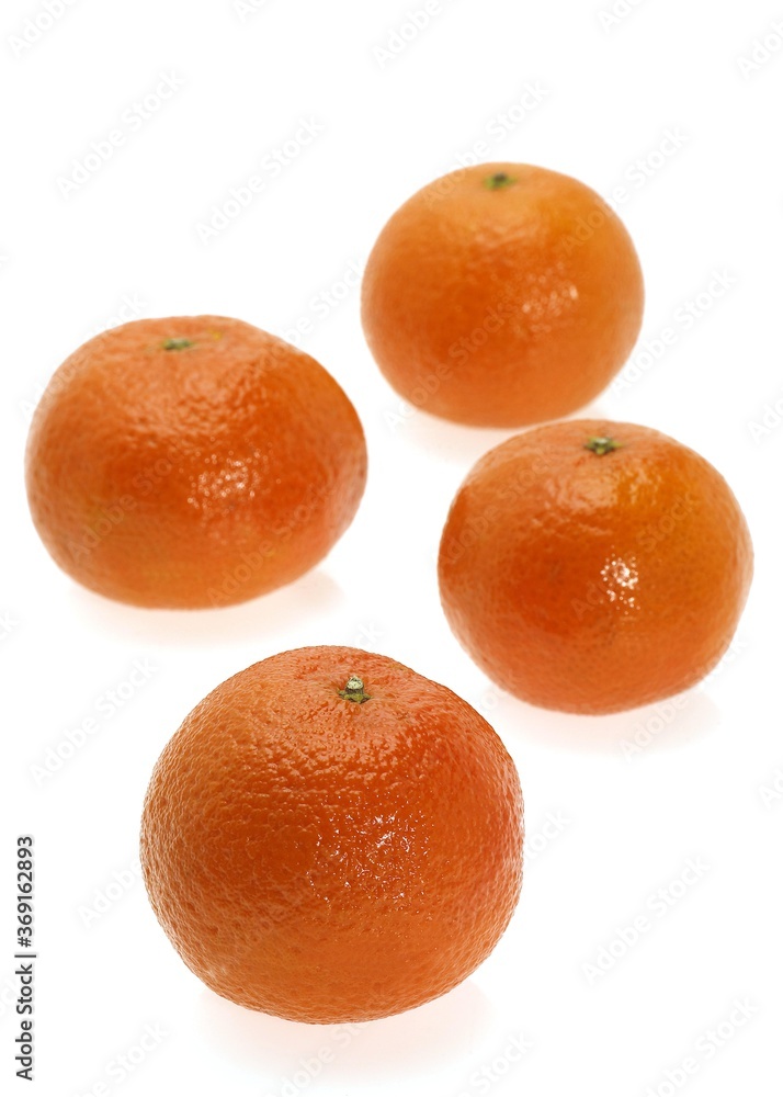 CLEMENTINE FRUIT citrus reticulata AGAINST WHITE BACKGROUND Stock Photo