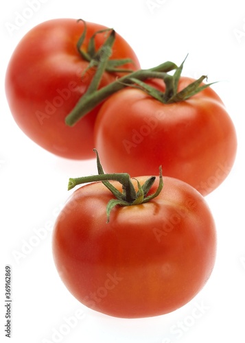 RED TOMATOES AGAINST WHITE BACKGROUND