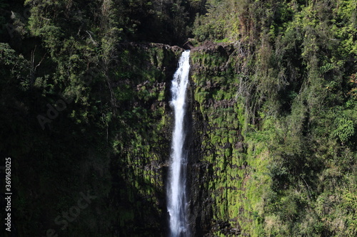 Akaka Waterfall in Hawaii