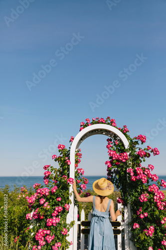 Nantucket Island Roses Blooming in Summer with Fashion Model photo