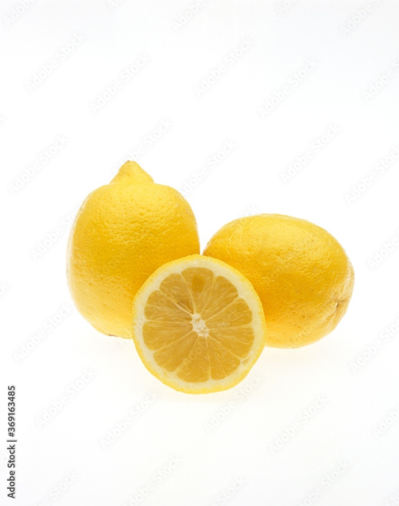 YELLOW LEMON citrus limonum AGAINST WHITE BACKGROUND