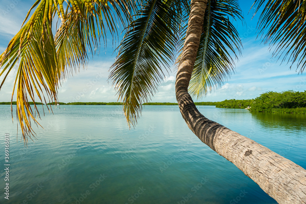 Naklejka Florida Keys