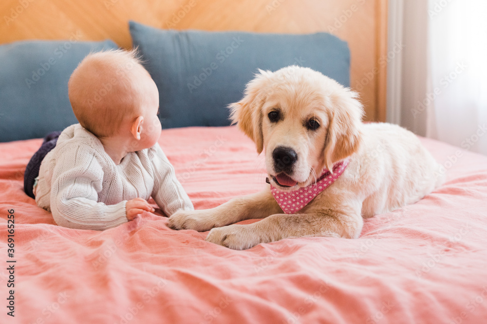 Baby and golden retriever puppy Stock Photo | Adobe Stock