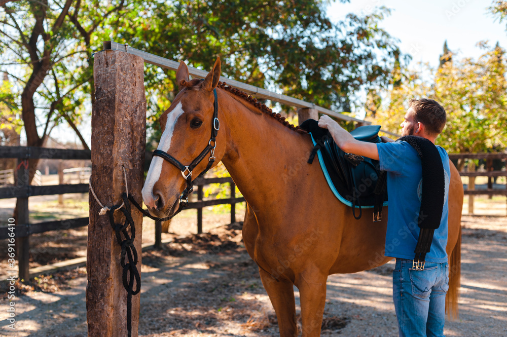 Rider putting saddle to horse Rider putting saddle to horse