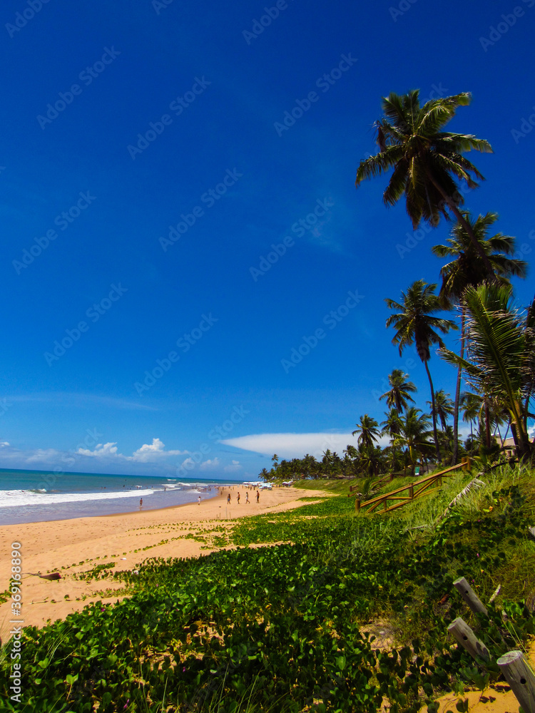 Obraz premium Playa cálida